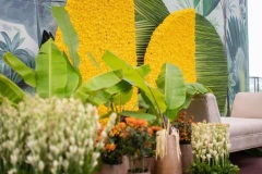 Haldi-Mehendi-decoration-services