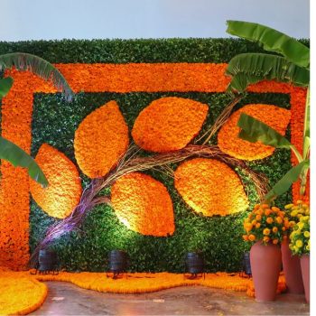 Best Haldi & Mahendi Decoration ahmedabad
